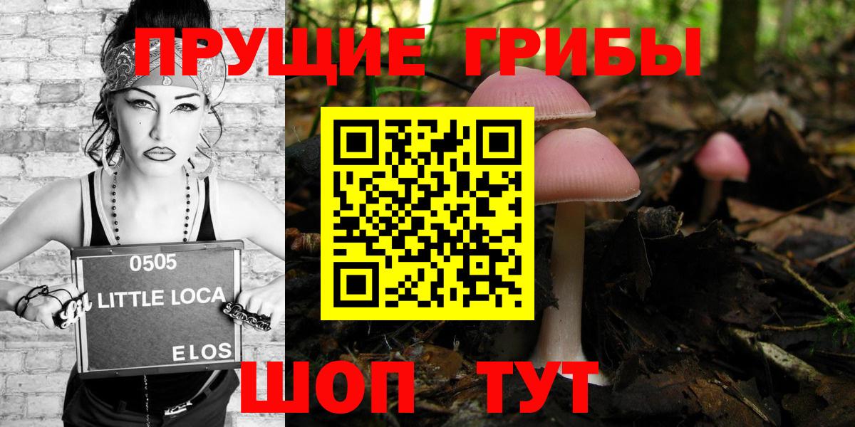 Галлюциногенные грибы MAGIC MUSHROOMS  Вход с VPN  Красногорск 